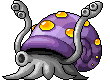 Risell Squid